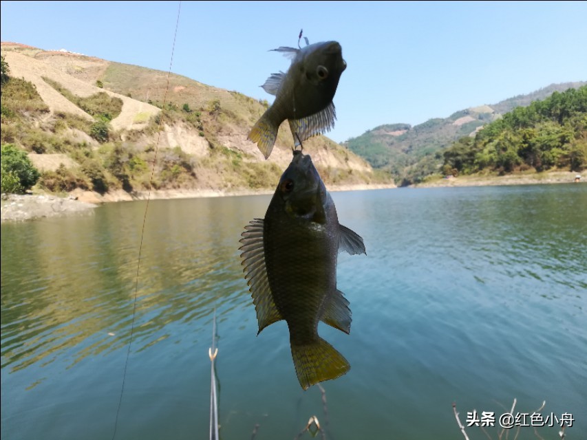 为什么我喜欢硬竿钓鱼,4.5米的鲫鱼竿能钓大鱼吗