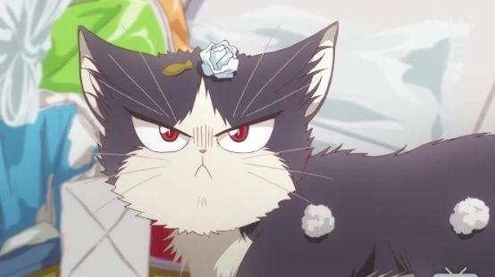 最萌新番,豆瓣8.8最佳纪录片女主