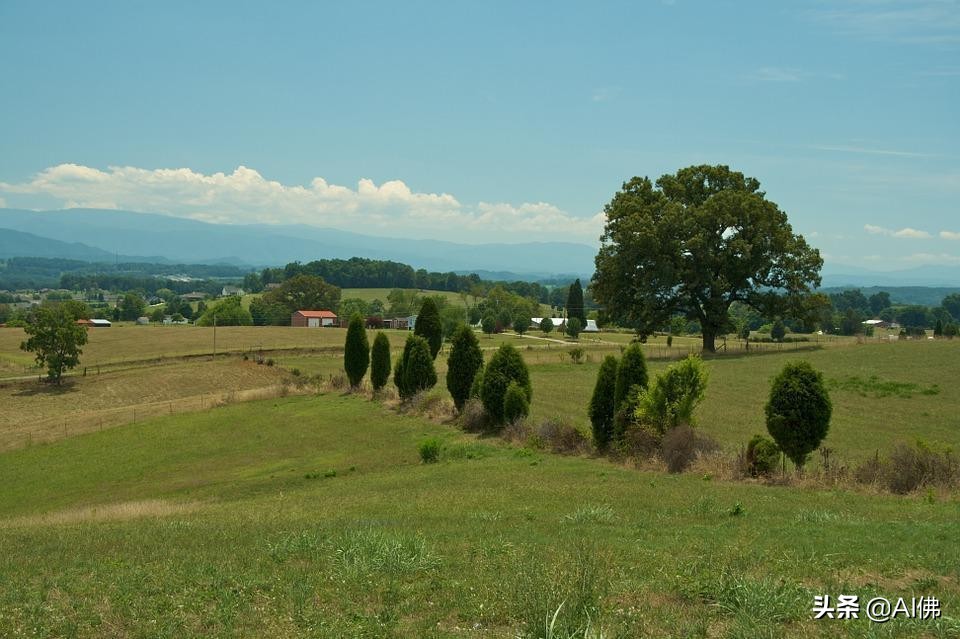 美国农田最多的州,美国哪个州的农场土地肥沃