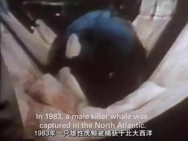 明星撞衫后的惨烈对比,明星撞衫的那些事