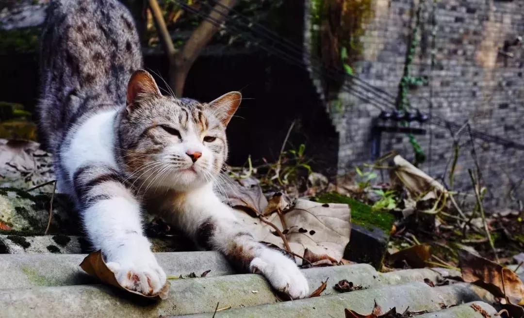 铜元局记忆视频,铜元局记忆照片