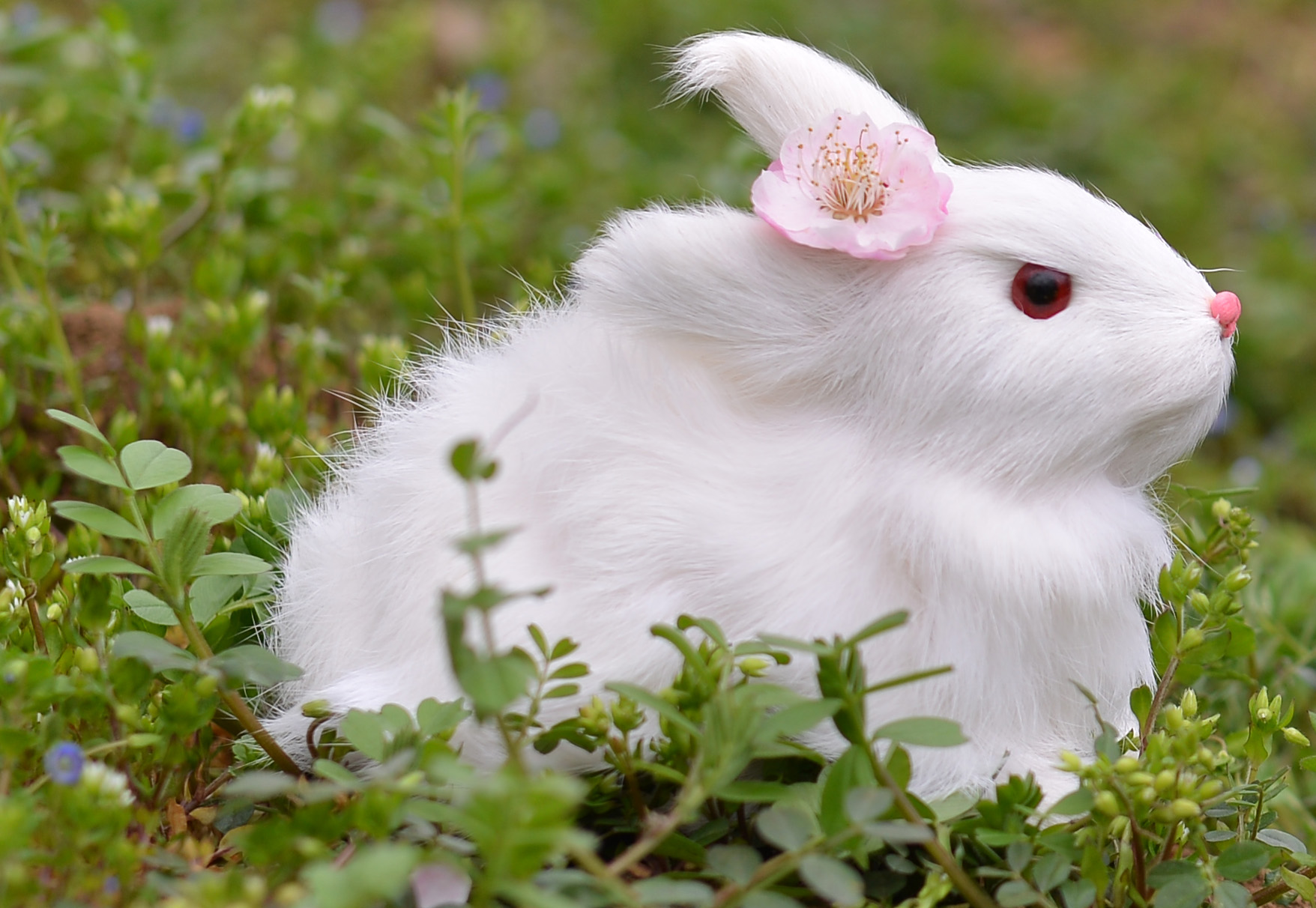 第14篇，尼康相机的标头-2021年元旦快乐