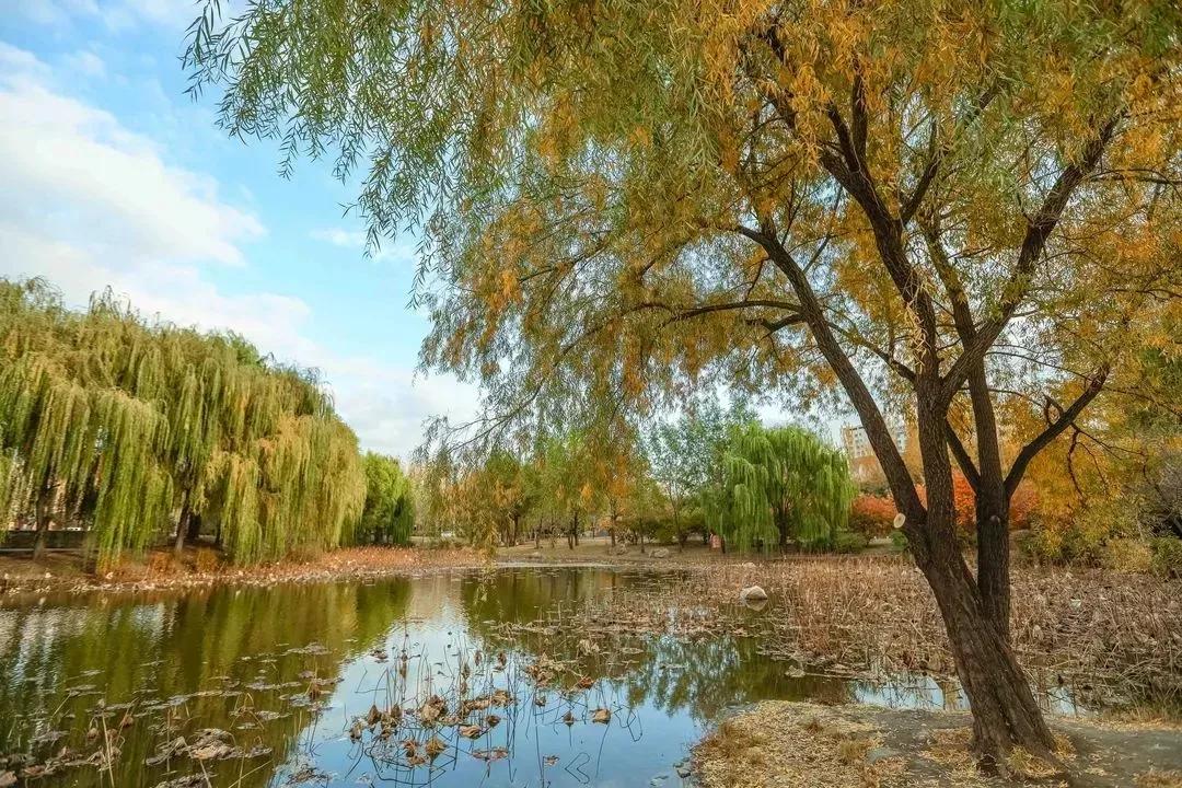 辽宁省高等院校分布图,辽宁省高考报考沈阳航空航天大学