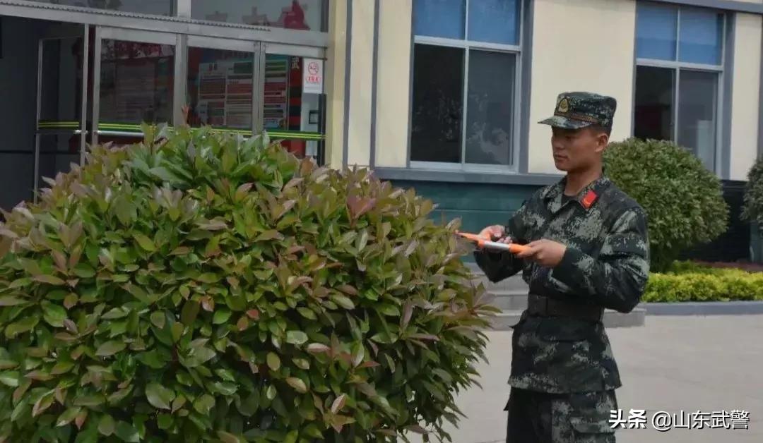 请别小看我们，新兵也能“挑大梁”