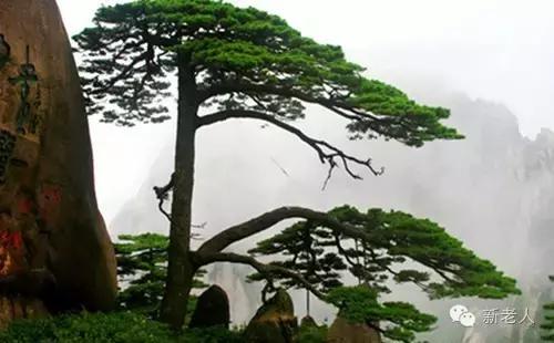 各省市特色文化符号,40个中国文化符号