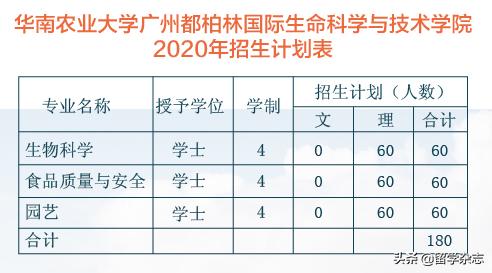 性价比高的纯国际学校,都柏林国际大学排名