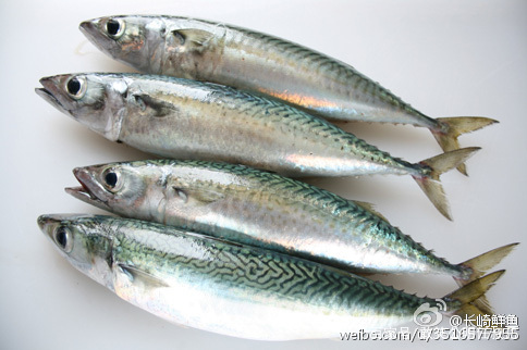 莱黄之鲐，不可胜食。鲐是指鲐鱼，它的味道并不好，但产量比较大