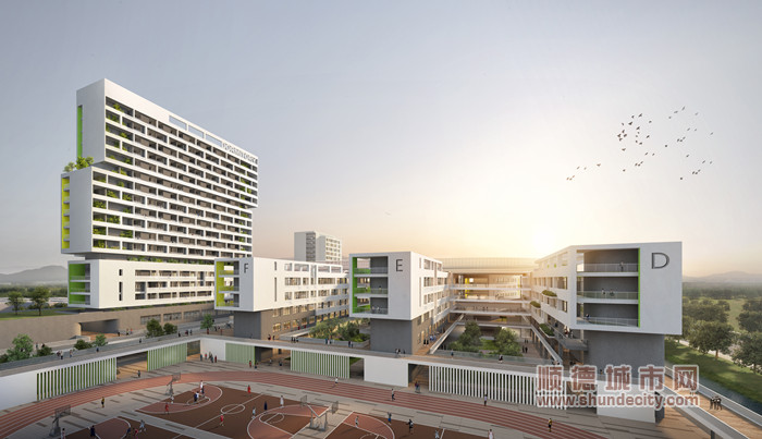 陈村教育发展八大工程,投入12.84亿元建5所公办学校