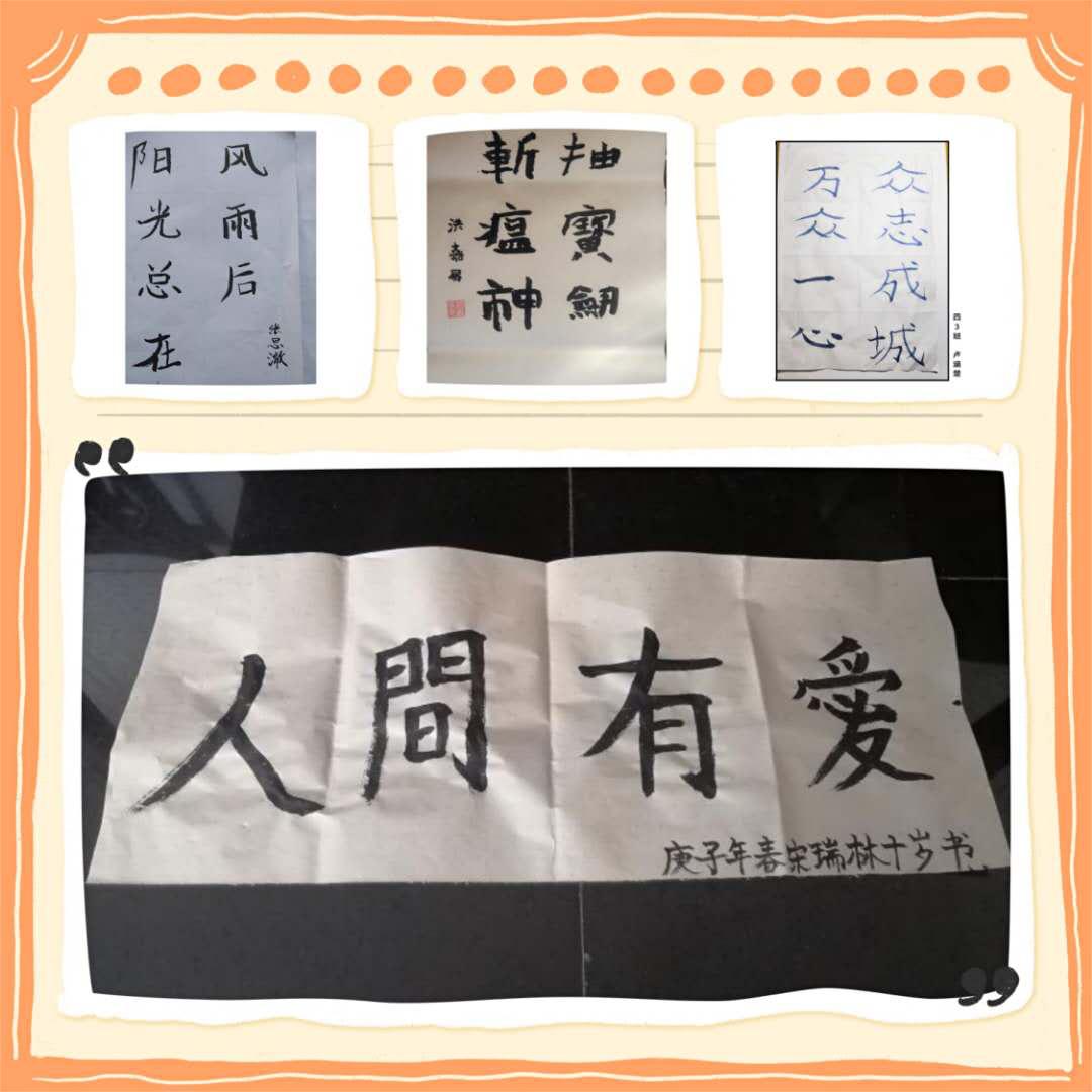 北京市芳城园小学：“项目式学习”战“疫”“延学”变“研学”