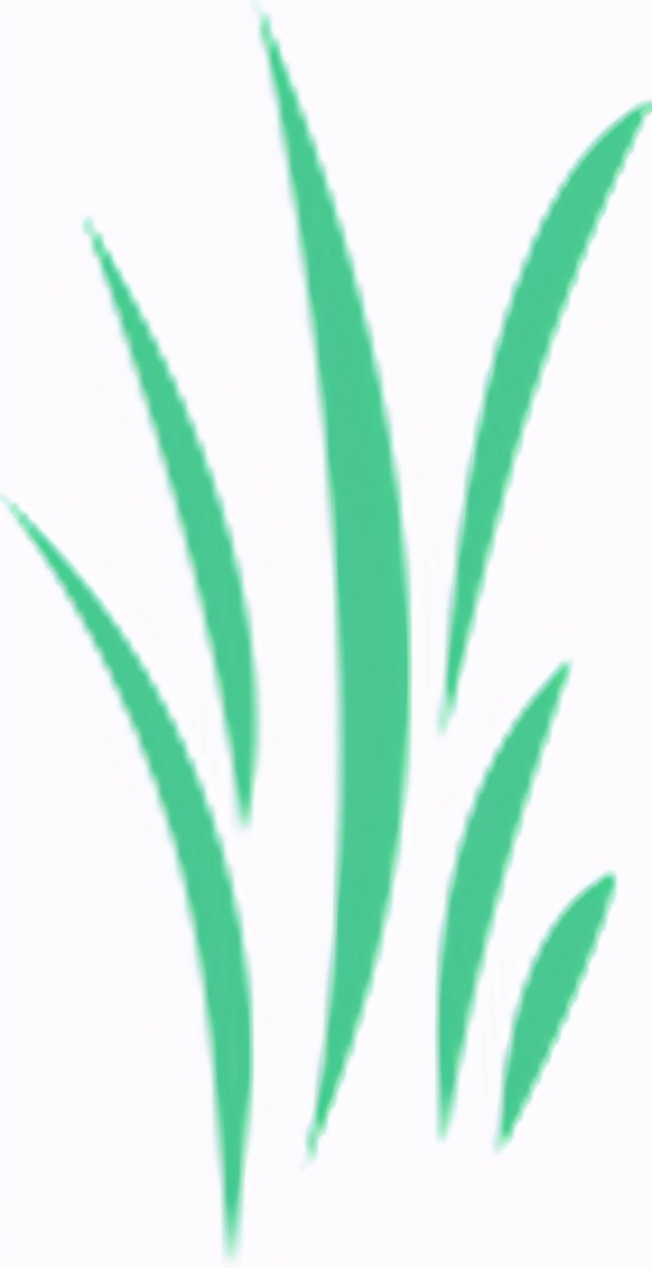 春分万物平分春色,春分是什么样的春天