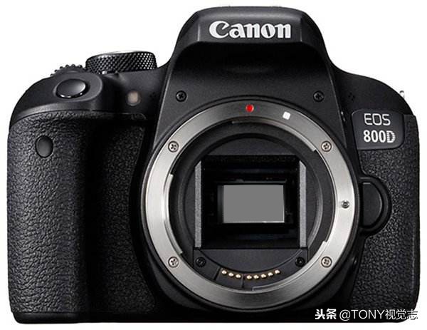 佳能相机新手推荐哪一款,尼康佳能单反哪款最好
