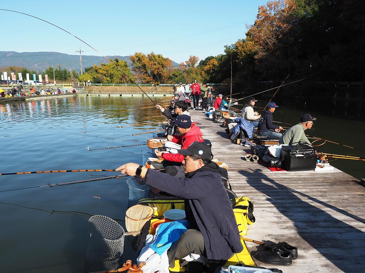 并继竿到底有多可怕,并继竿为什么这么贵