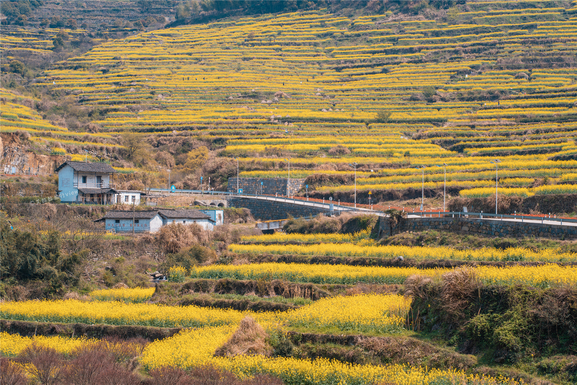 浙江深山隐藏村庄,浙江深山里的村庄