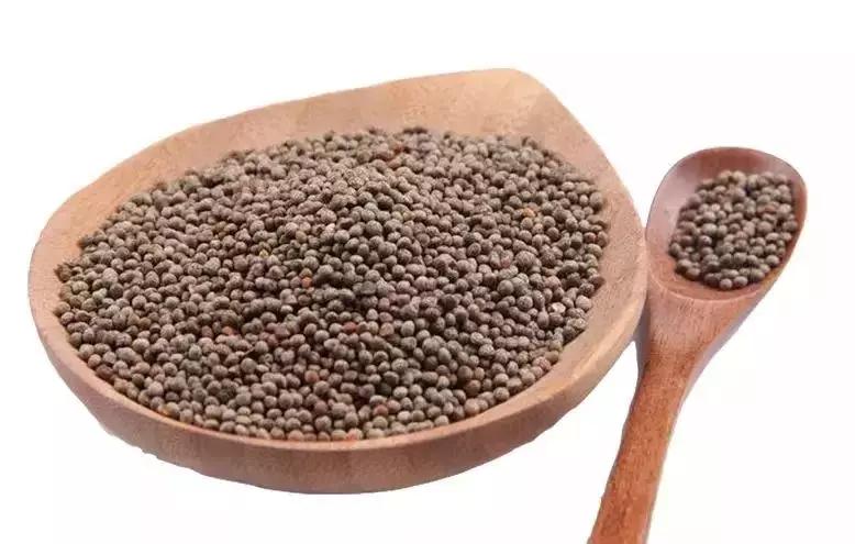 吃螃蟹必备的神奇香草，竟然有着这么美的名字