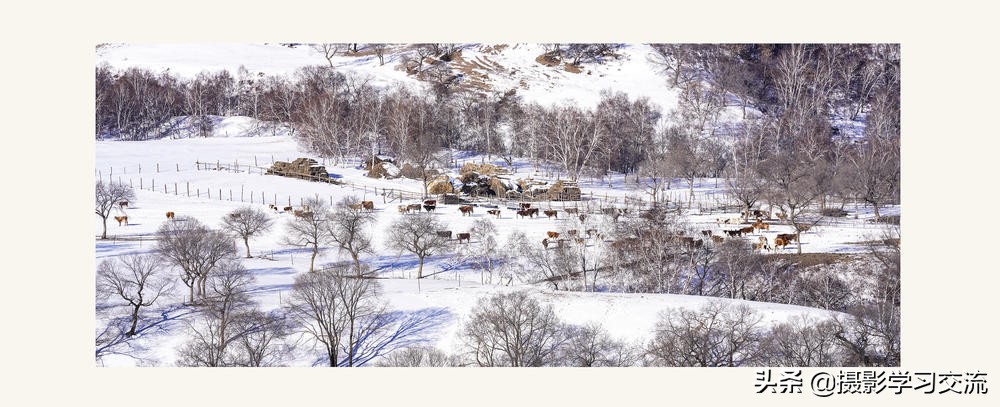 你还停留在摄影基本功上别人已经研究照片风格了-摄影照片分析