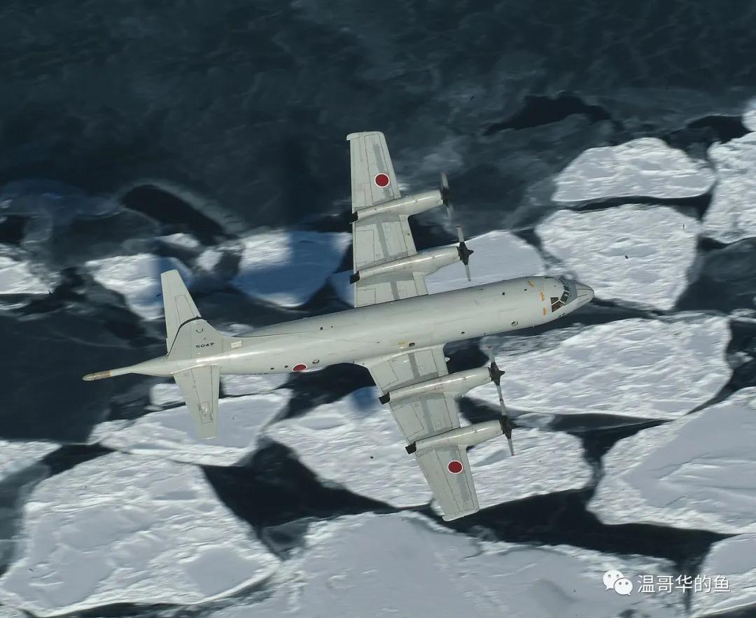 日本海上自卫队巡逻反潜机,不可小视的日本海