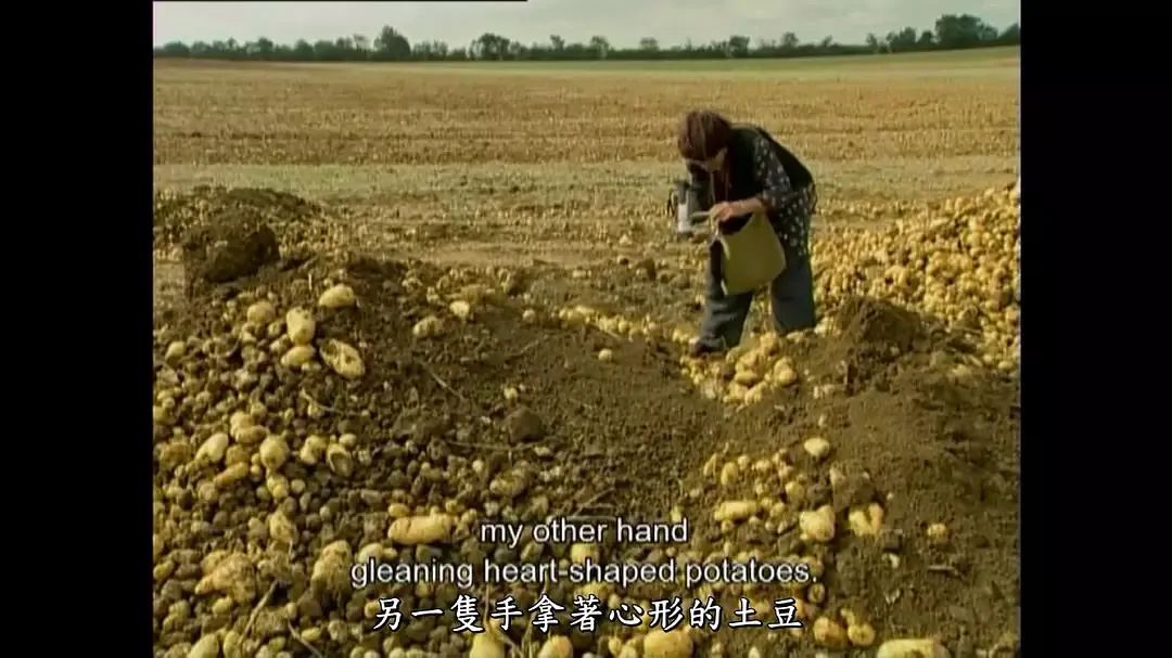 鄙视链底端的人,社交平台鄙视链