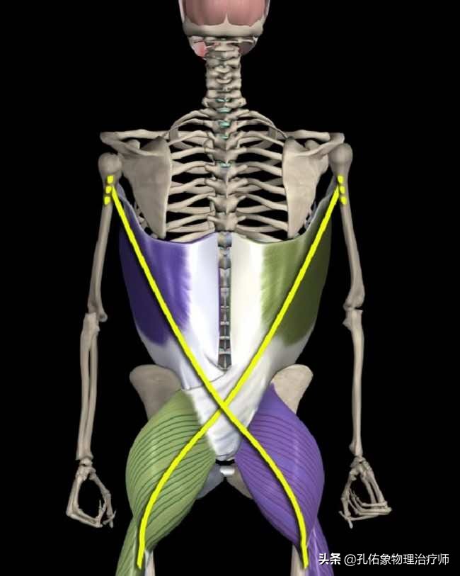 健康科普学这几招缓解产后腰痛,孕晚期突然腰痛厉害是产前征兆吗