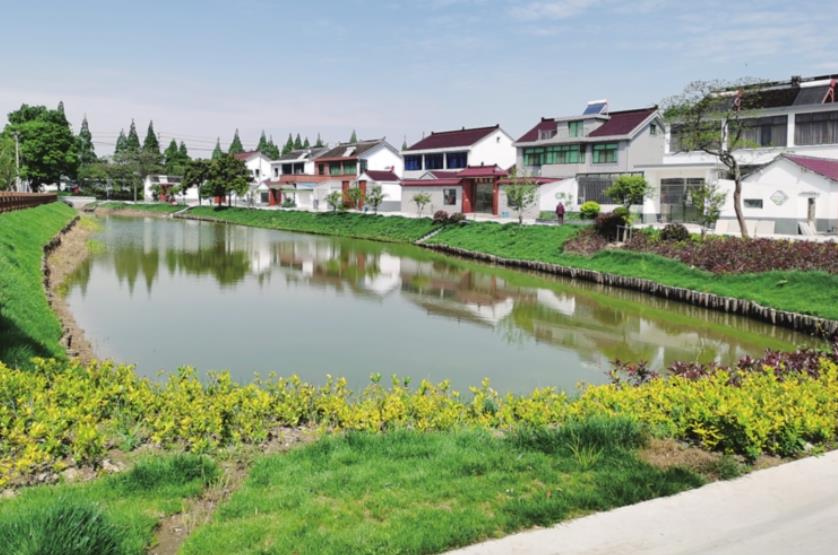 江苏真实的农村面貌，楼房普遍是二三层高，江苏农村没浙江富裕？