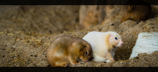 泰国旅游漫游,最新鲜玩转泰国攻略