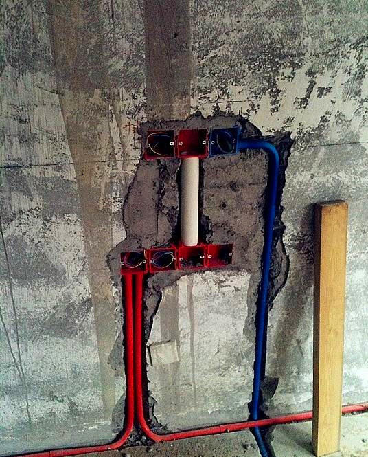 老鼠怎么灭教你使用陷阱捕捉老鼠,老鼠的生活习性是怎样