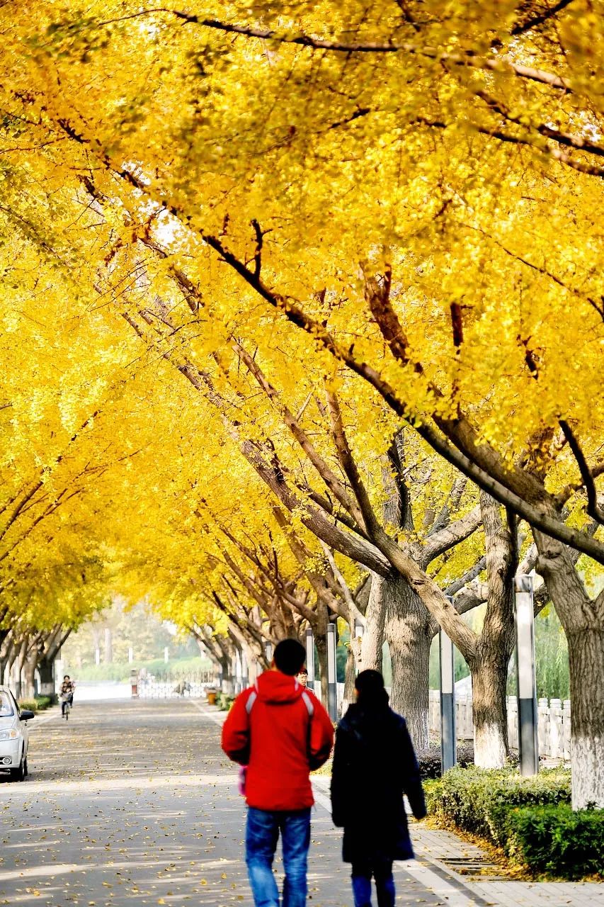 被严重低估的江苏成绩,扬州被严重低估的城市