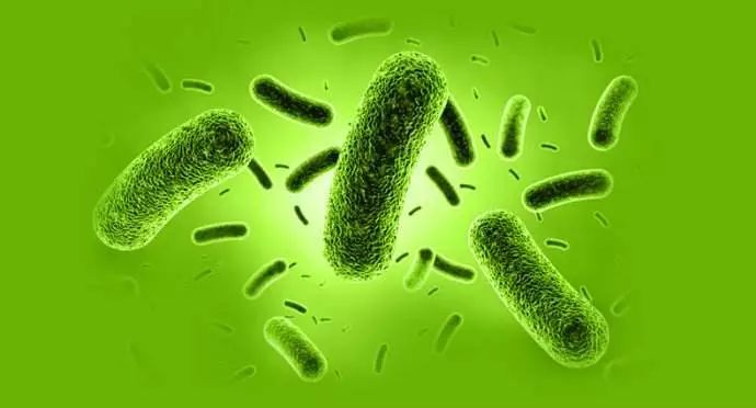 限时疯抢全国包邮,限时抢购全部68折优惠