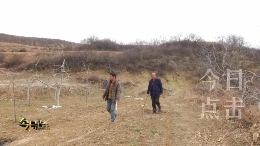 铜川印台脱贫攻坚,铜川印台区脱贫户