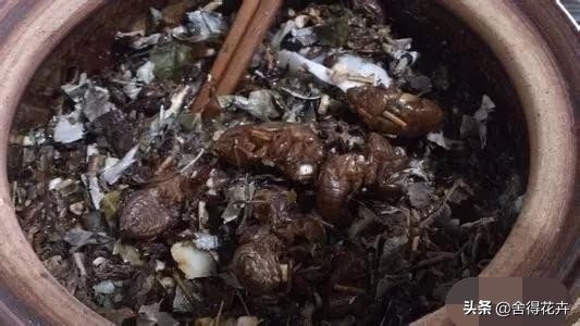 百合怎么养殖爆盆,百合怎样爆花多头