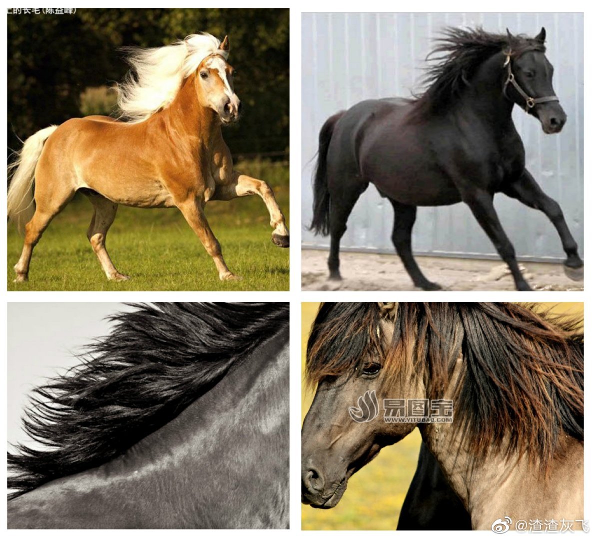 说文解字:流行于关中地区的biang到底什么意思?