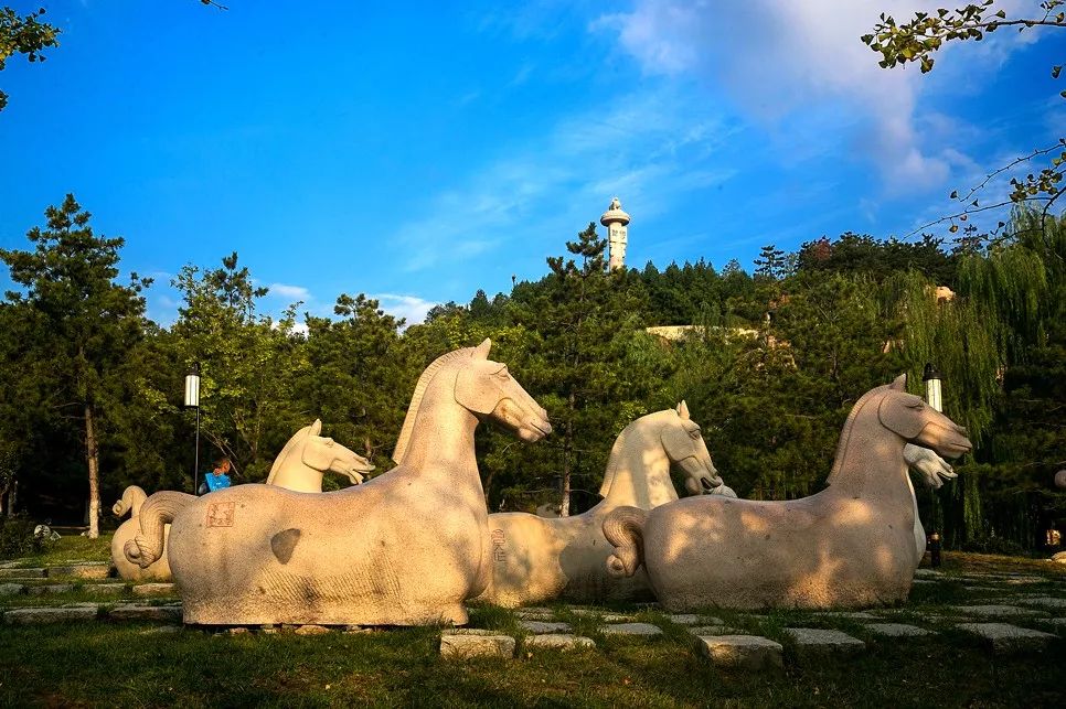 不出西安一日游必去免费景点,不出西安五一值得去的地方