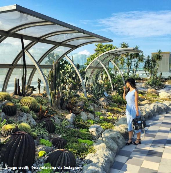 连续六年夺冠世界的新加坡机场，连游泳池和按摩浴缸都准备好了！