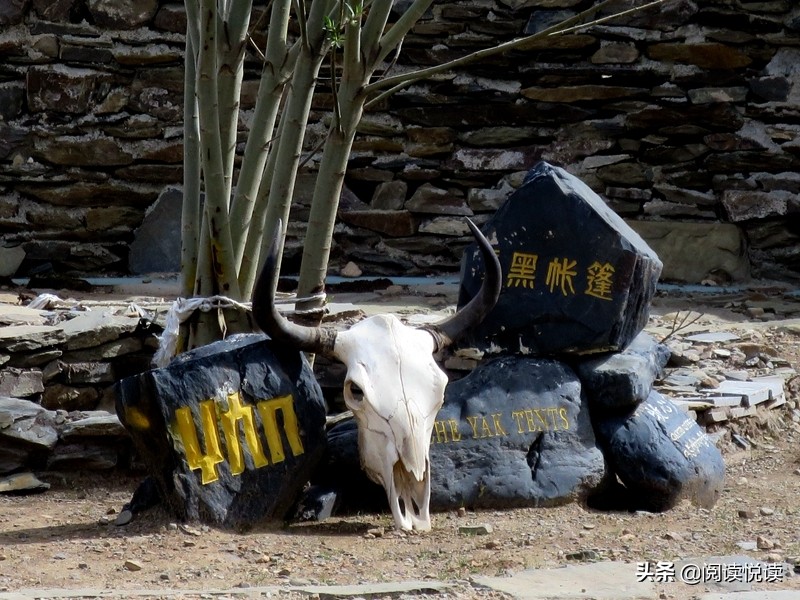 藏地人文风景图,藏域风情图片