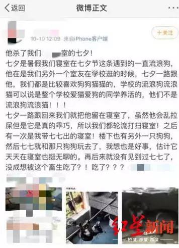 “三下把狗头打碎！”成都疑现虐狗研究生，目前正在调查