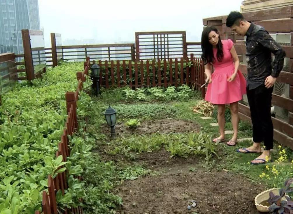 张庭为什么要去做微商,微商张庭