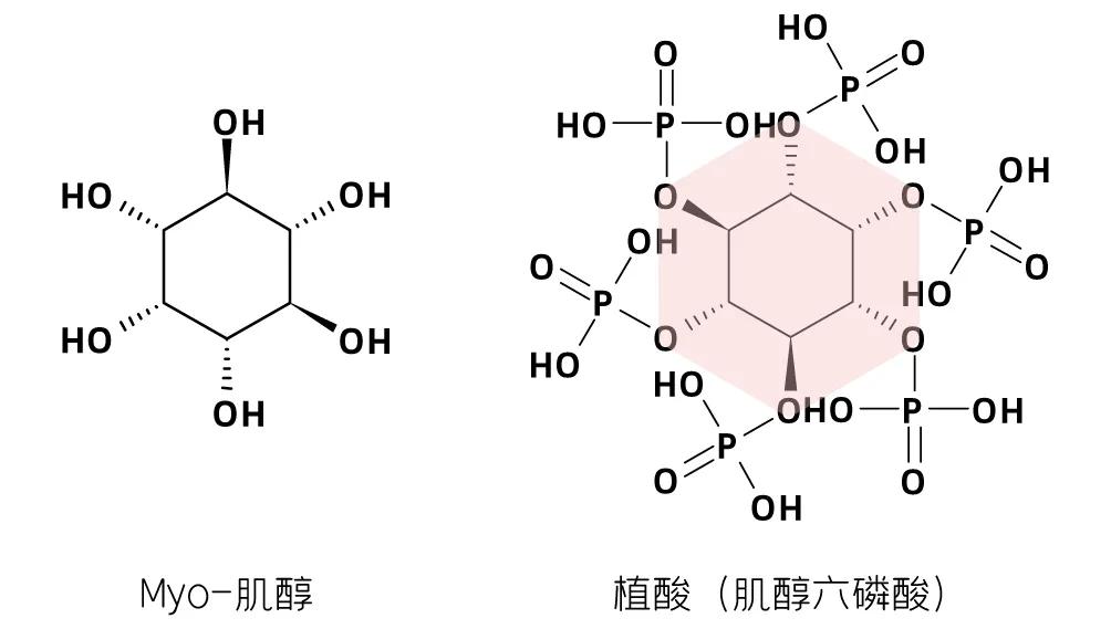没有多囊但是也没有优势卵泡,没有多囊能吃肌醇胆碱吗