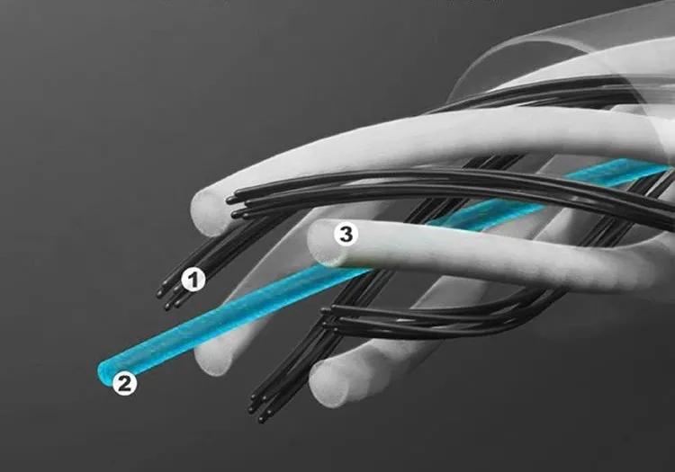 国际大牌男士袜子,男士女士纯棉袜子高档袜子