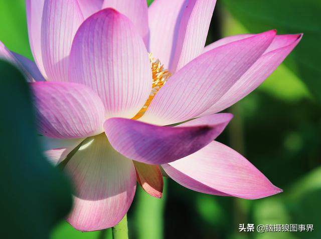 怎样用ps调好照片画质,ps调整对比度快捷键