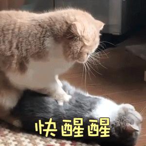 碧昂丝jay-z同台,碧昂丝jayz卢浮宫mv