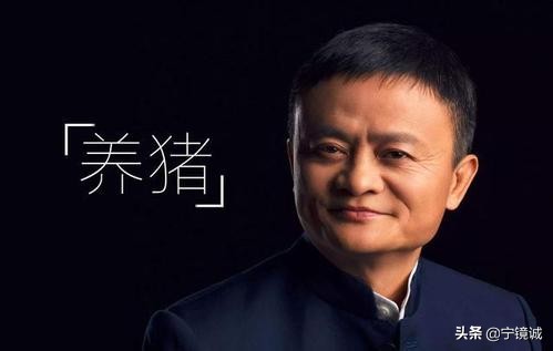 网易创始人丁磊的30条深度思考,网易创始人丁磊养猪场