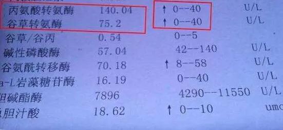 辟谣肝功能,丙肝应要如何护肝医生告诉你