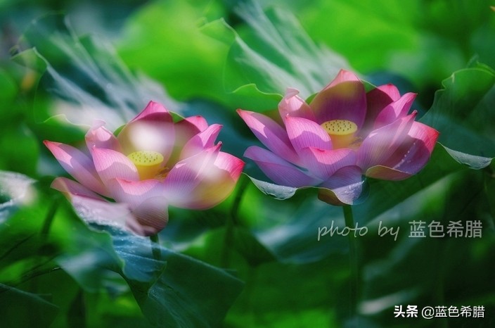 佳能5d370-200人像拍摄参数,佳能5d3拍出的照片带着详细参数