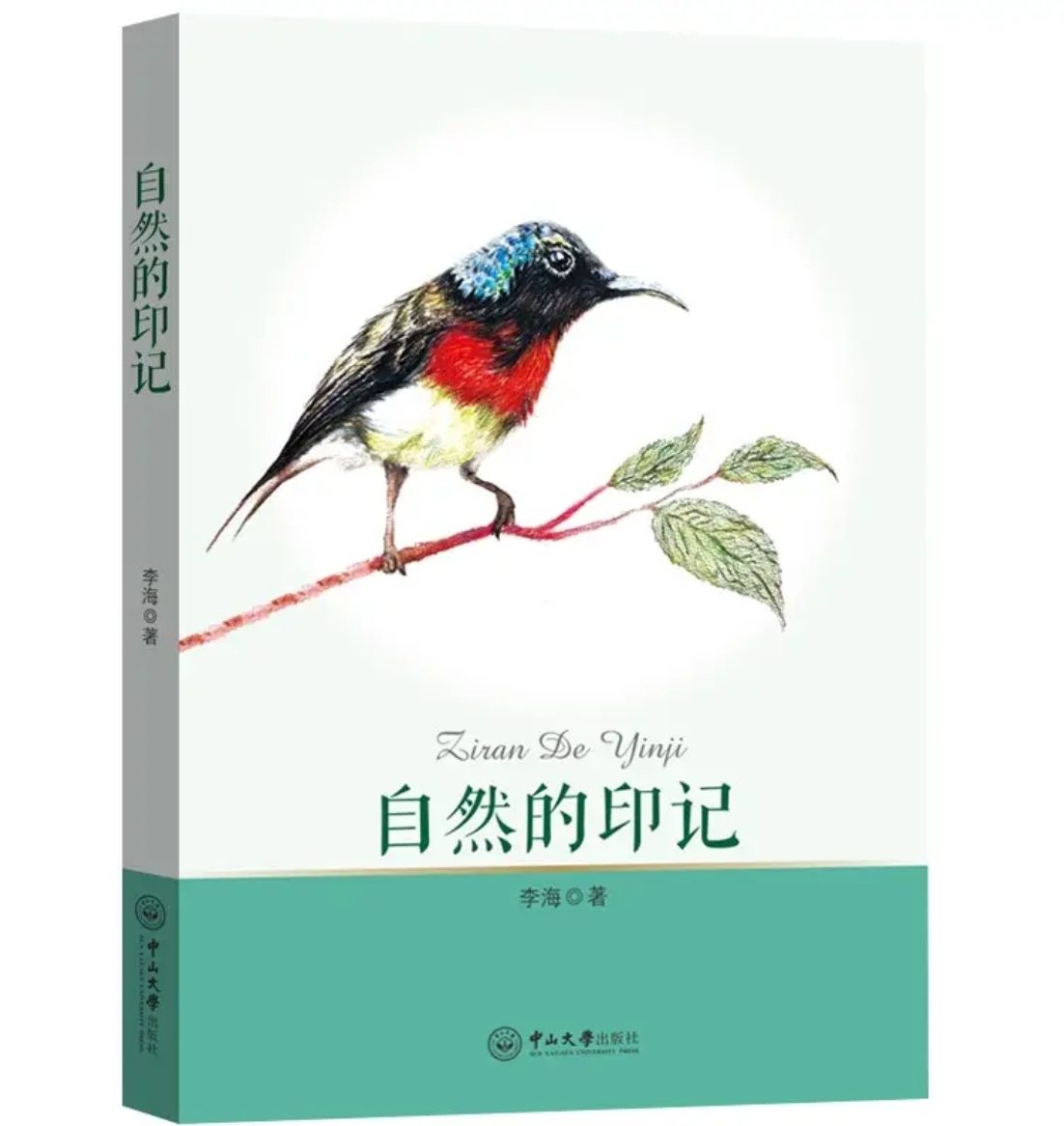 云南玉龙湖观鸟,临沧玉龙湖清晨的美景照片