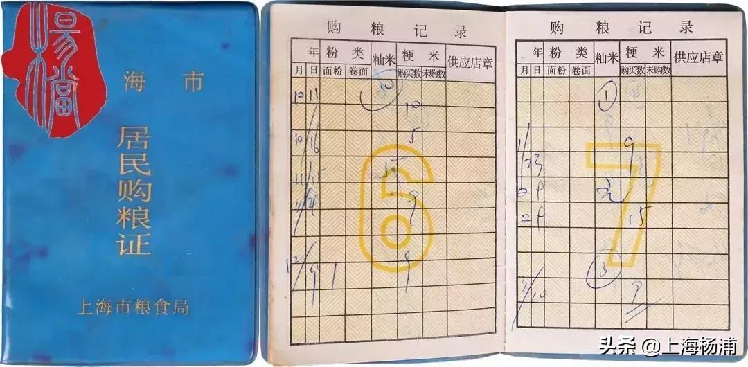 穿越到粮票年代的精彩小说,穿越回到用粮票年代的小说