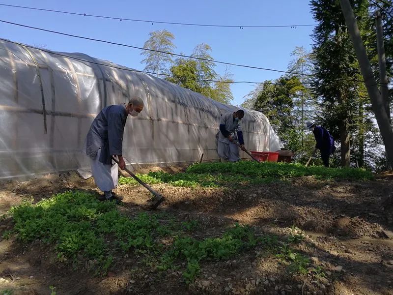 抢抓农时开展农业生产,农民纷纷抢抓春耕生产有利时机
