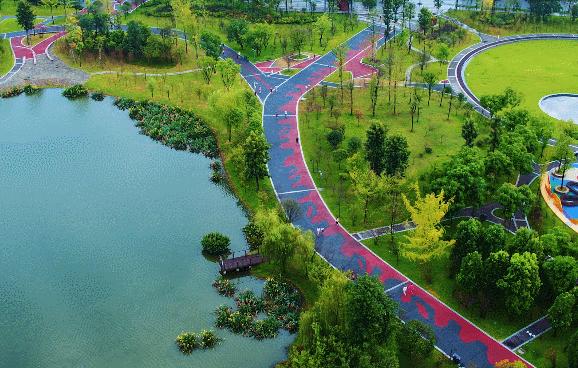 双流美丽公园城市,成都双流湿地公园美景