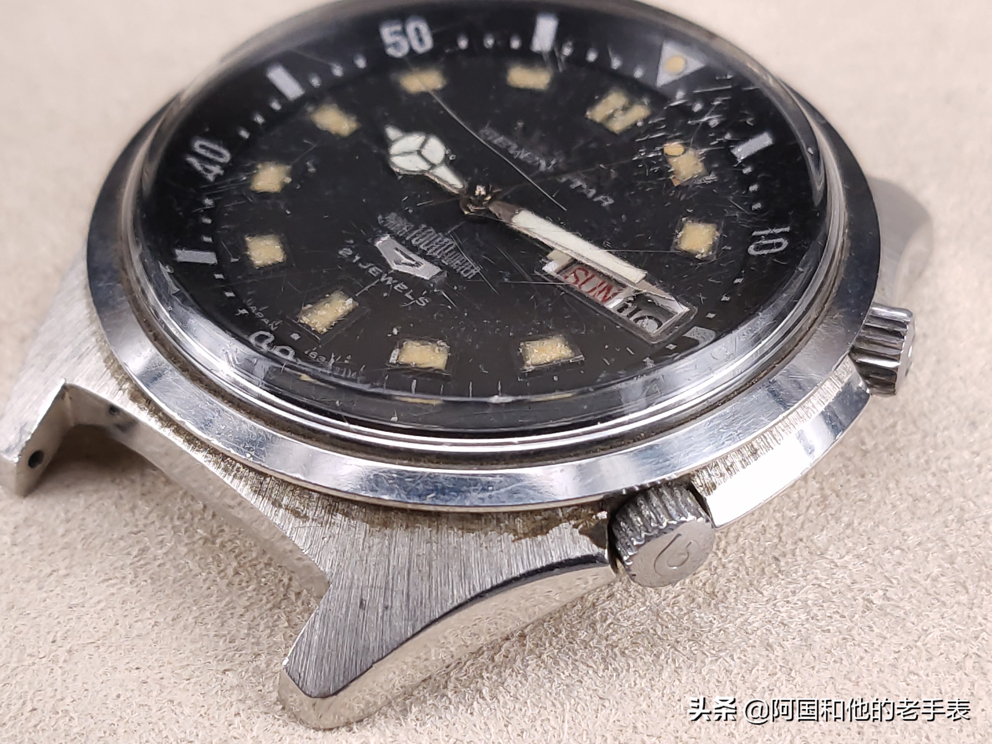 50年后的相见两只西铁城水鬼