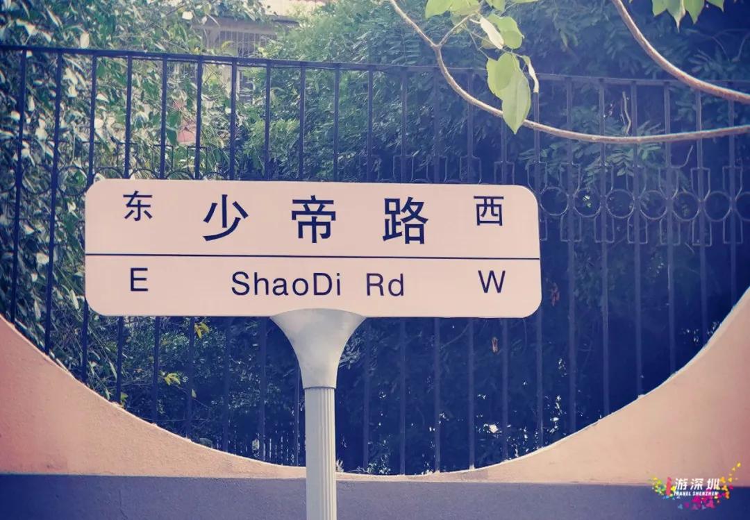 深圳樱花专列,深圳蛇口樱花列车