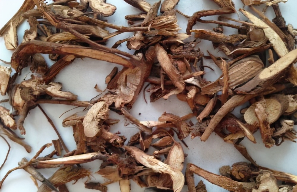 一条根售价,一条根茎卖600元