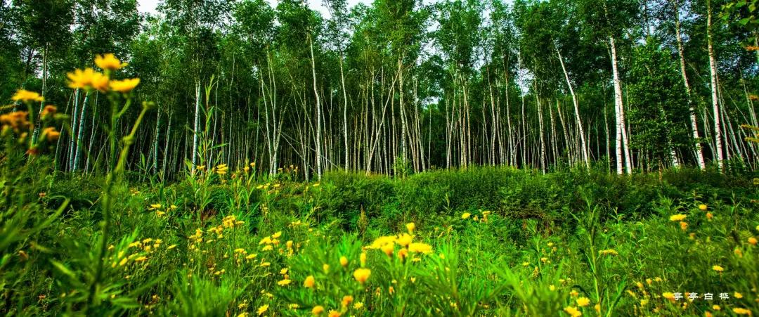 最新辉南四方顶子景区门票价格,辉南县石道河四方顶景区